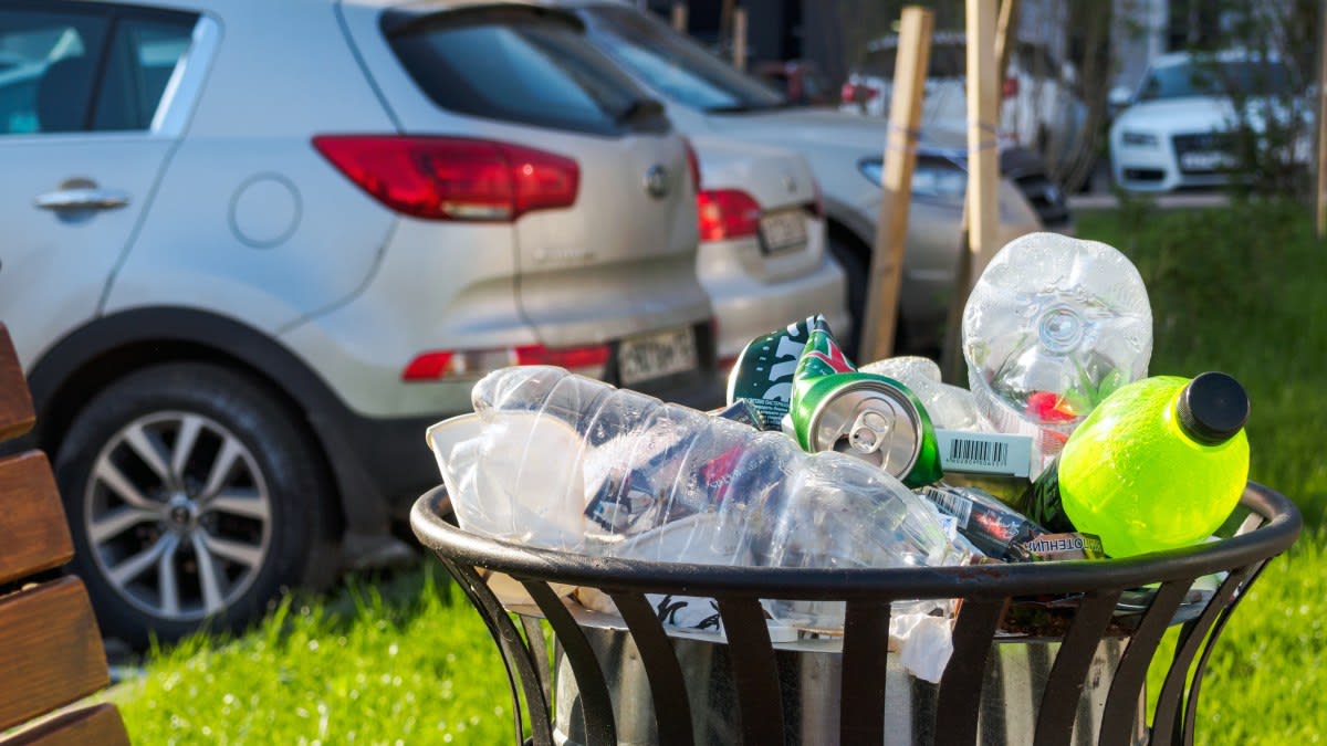 Cách diệt kiến trong ô tô 3 kiến vào xe ô tô