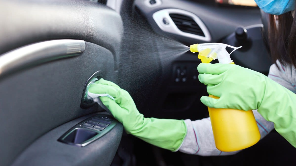 Cách diệt kiến trong ô tô 5 kiến vào xe ô tô